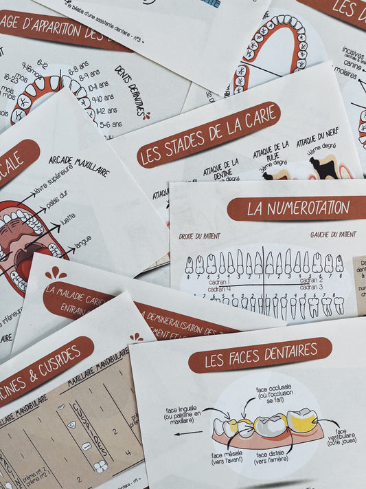 Fiches Le béaba d’une assistante dentaire - téléchargeables