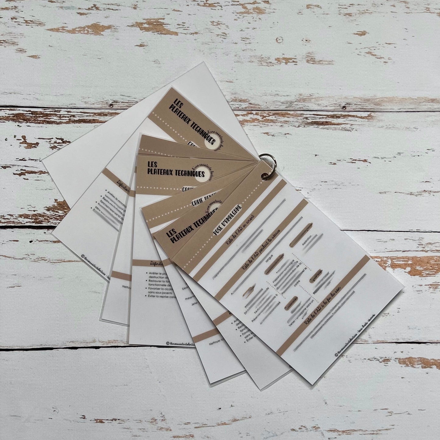 Fiches UE5  « les soins conservateurs »